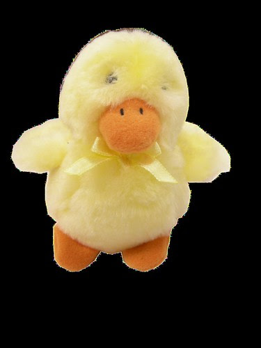 Ducky