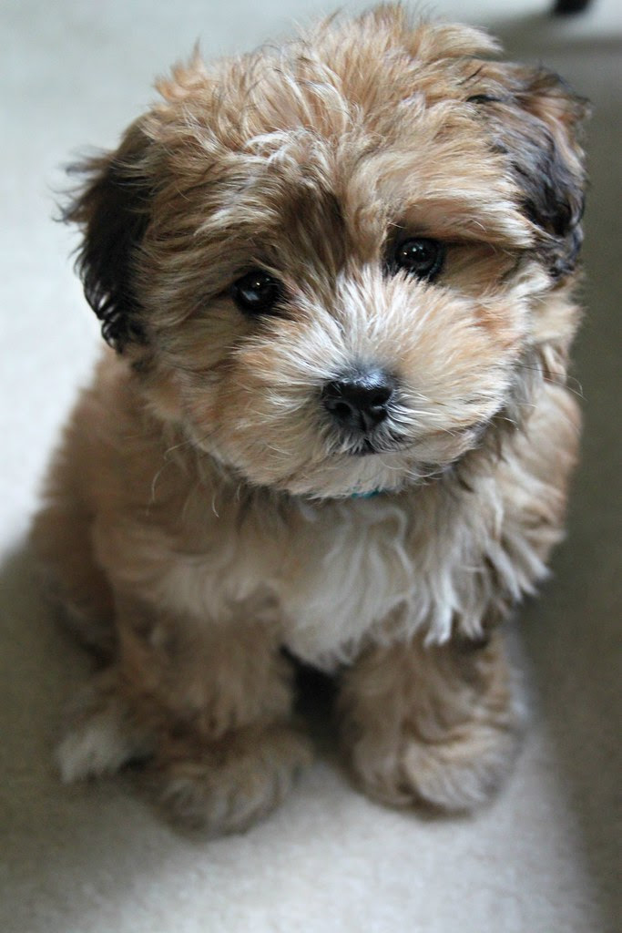 penny cuteness