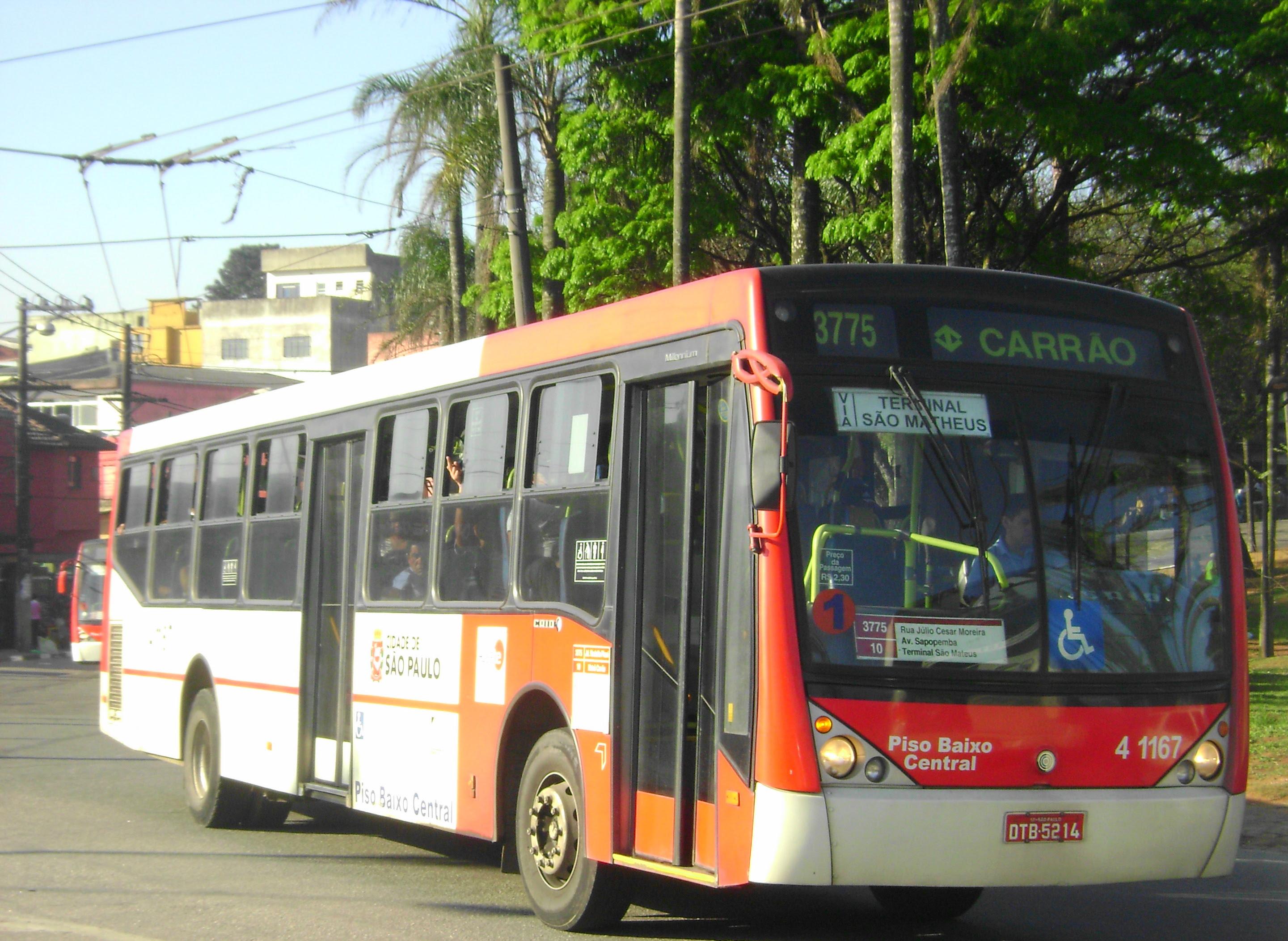 onibus