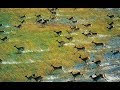 The Okavango Delta: A Natural Wonder of Africa
