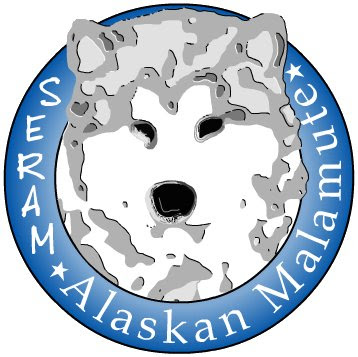 nome-immagine