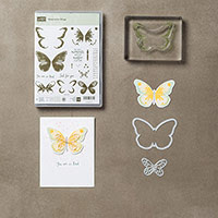 Watercolor Wings Photopolymer Bundle