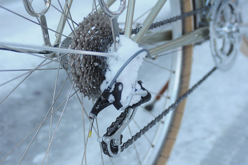 Snowy Streets, Cambridge MA