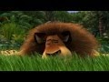 Real Life Madagascar Movie Animals