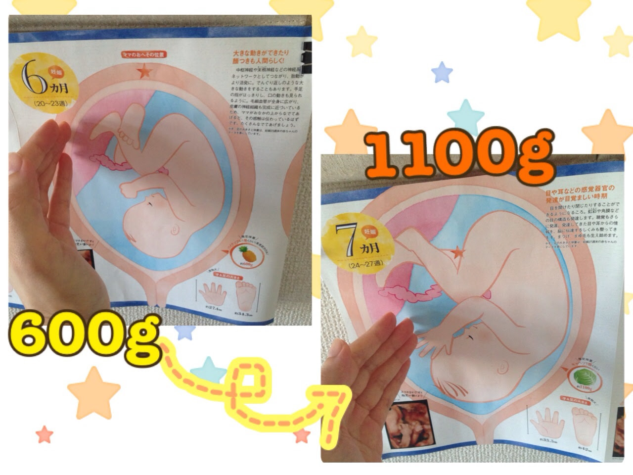 はなの育児日記 旧 はなの妊娠絵日記 25w4d 内臓の圧迫感と共働き