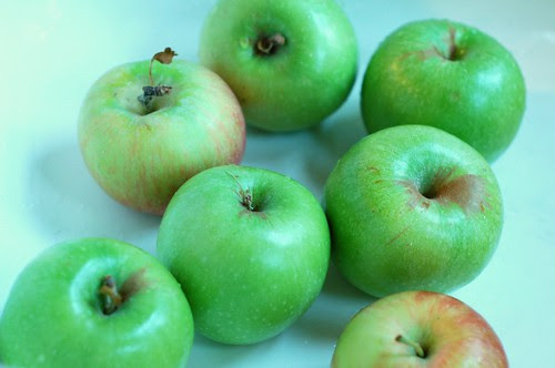 Apples by Eve Fox, Garden of Eating blog, copyright 2012