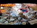 [最も共有された！ √] アイドル ゴミ 屋敷 215930-有吉 ゼミ ゴミ 屋敷 アイドル