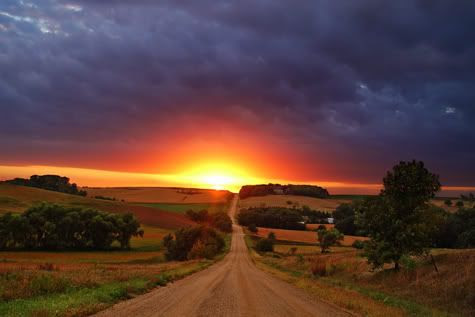 CLICK HERE FOR SEE MORE IMAGES