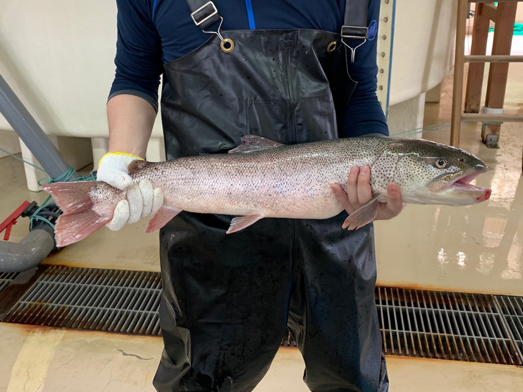 新潟県立海洋高等学校 航海日誌 新潟県糸魚川市能生 海洋高校へようこそ 今 海洋高校がオモシロイ