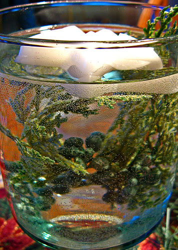 12/28/07 -  Junipberry