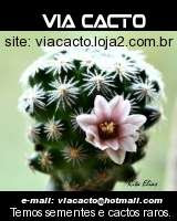 Loja ViaCacto