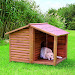 Wonder Pets Yandex Ru