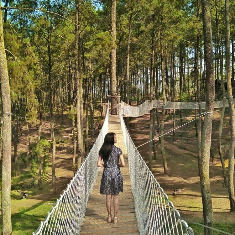 Harga Tiket Masuk Dan Lokasi Orchid Forest Lembang