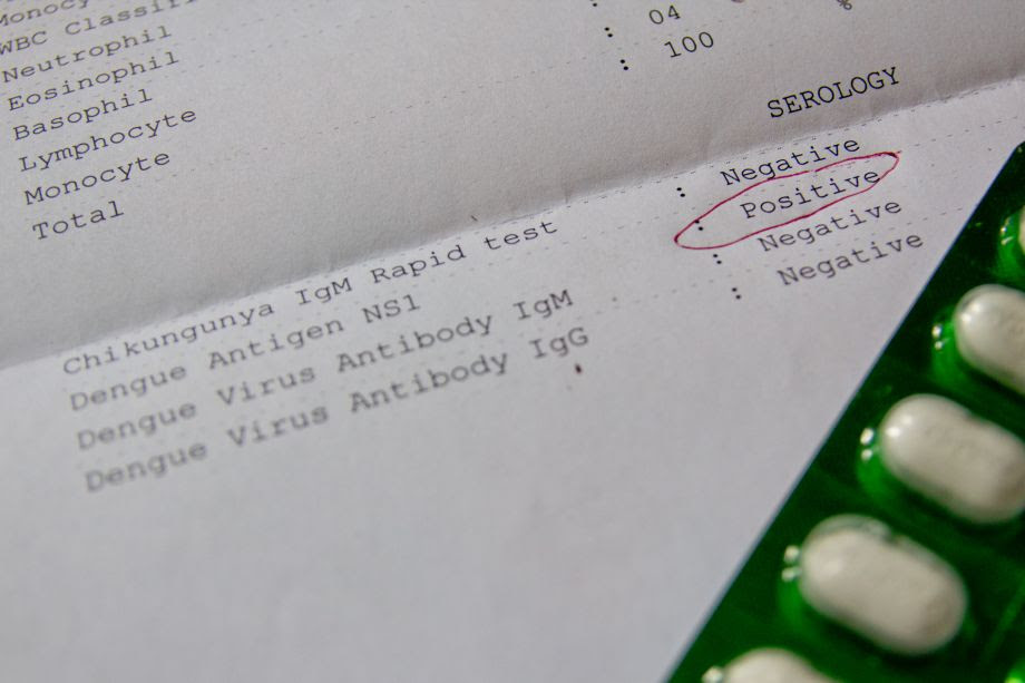 Image result for dengue fever blood test