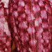 Snake's Head Fritillary