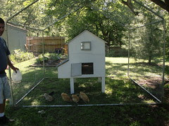 East of the Chicken House