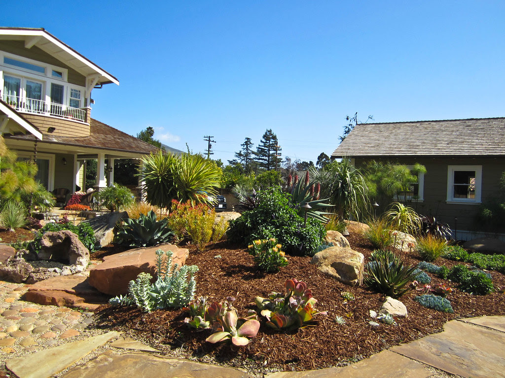 Arizona Backyard Landscaping Ideas | Mystical Designs and Tags