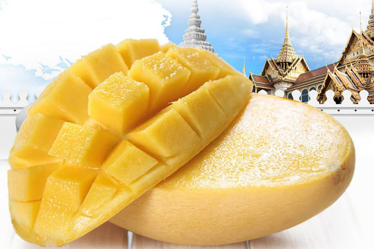タイのフレッシュ生マンゴー ドライマンゴー通販 販売 タイ産マンゴー3kg