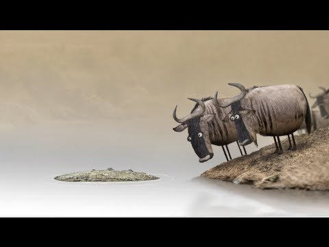 صورة