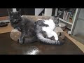 [最新] もやもや した 気持ち 178171-友人 もやもや した 気持ち