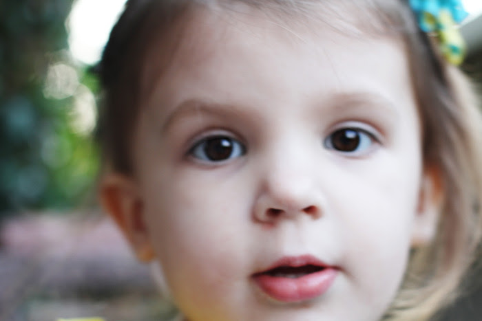11-13-09-small-1