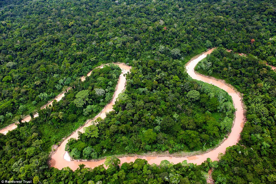Hidden: The rainforest here is home to 500 plant and 760 animal species - as well as tribes which have never come into contact with outsiders