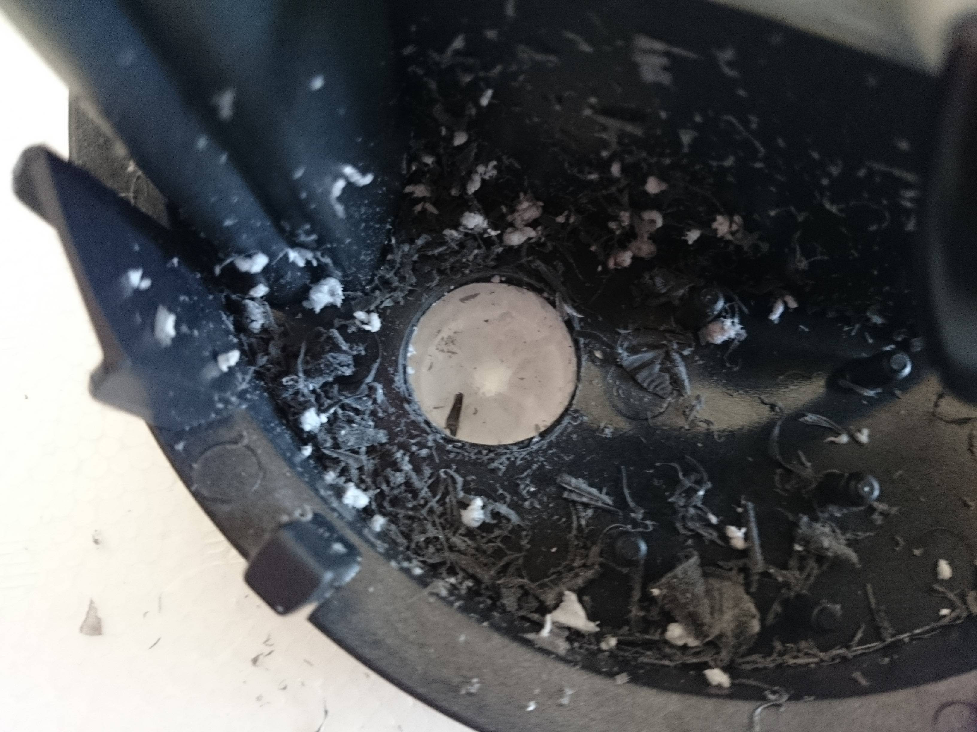 エーハイム2213ビルトインヒーター自作開始 30cm水槽の海水魚飼育