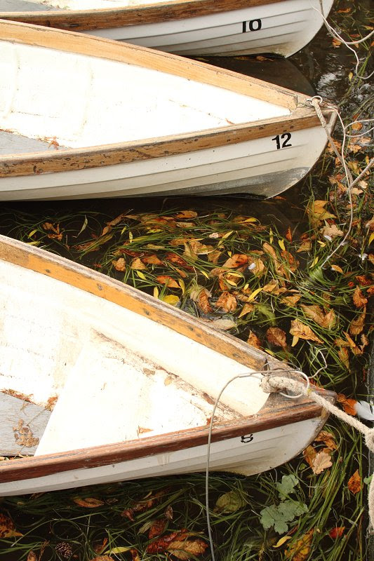 Autumn Boats
