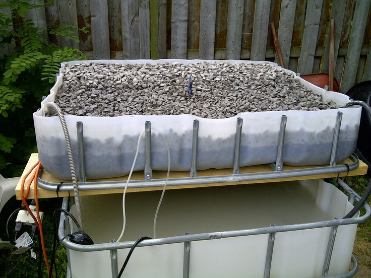 Grow Bed Media | Aquaponics Project | Pinterest