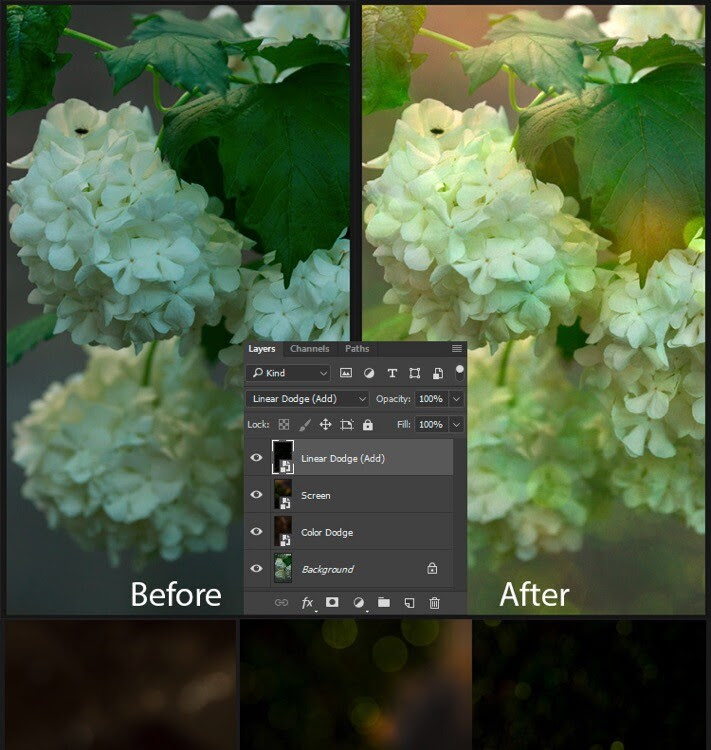 How to Create Realistic Bokeh and Blur Effects using Photoshop