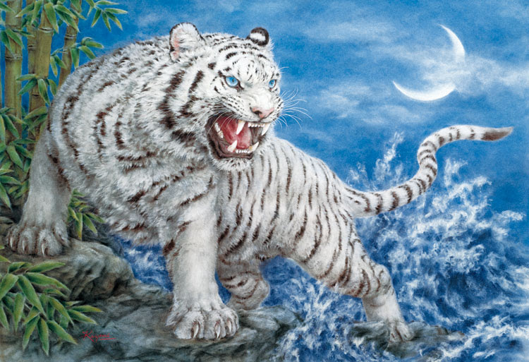 パズブログの港