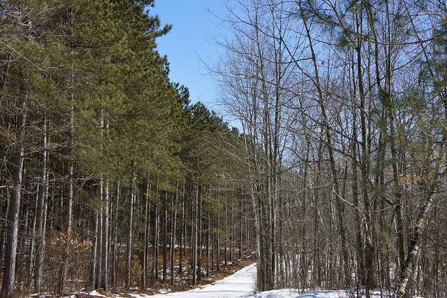 DSC05047