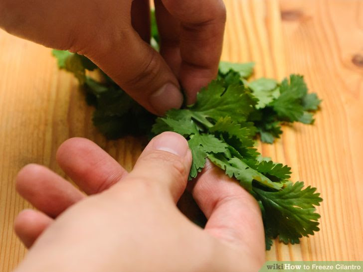 Freeze Cilantro Step 6 Version 3.jpg