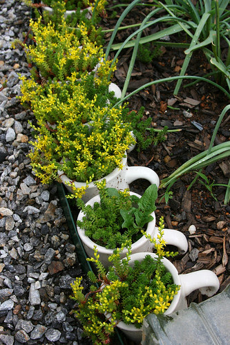 8_coffee_mug_planters