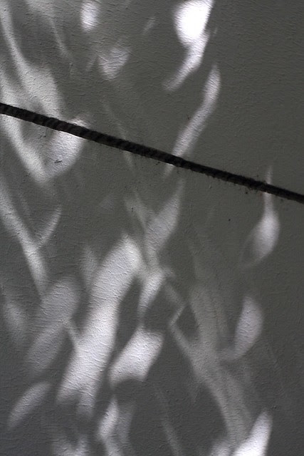 shadows, sw 2nd & clay