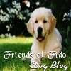 BannerFans.com