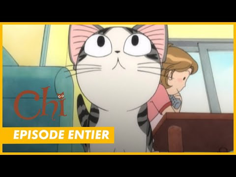 Chi une vie de chat tome 13