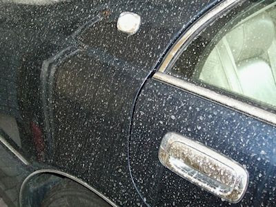 車の汚れ 水垢落とし方