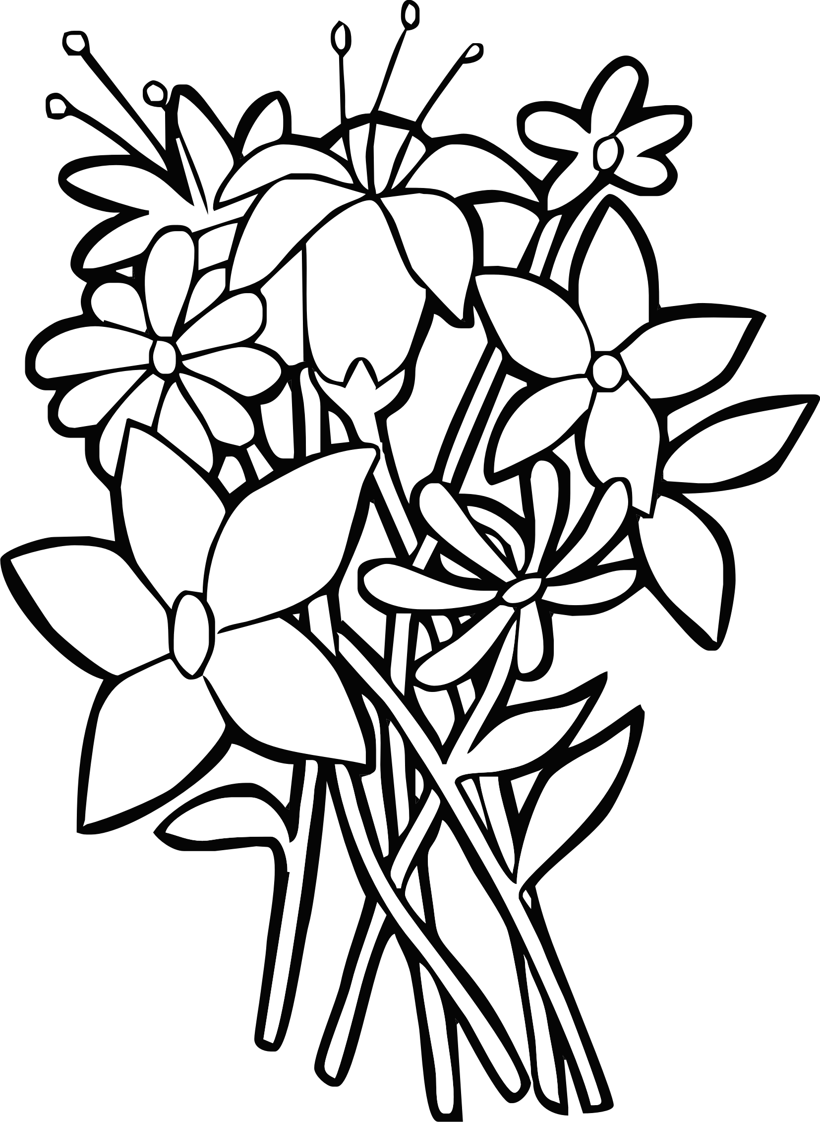 fiore5