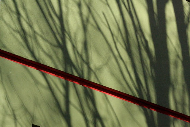 shadows, burnside