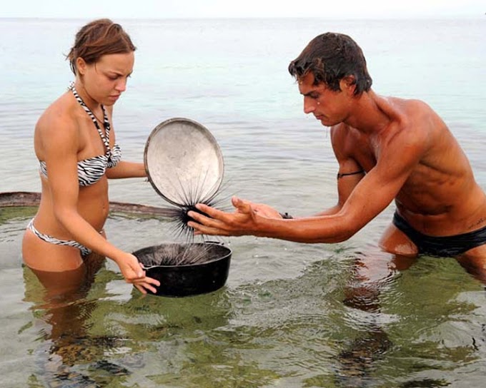 Valeria Marini Isola Dei Famosi / Isola dei Famosi 8: nona puntata : Torna valeria marini?tra eliminazioni, ripescaggi e nuovi ingressi l’ultima puntata si preannuncia ricca come non mai