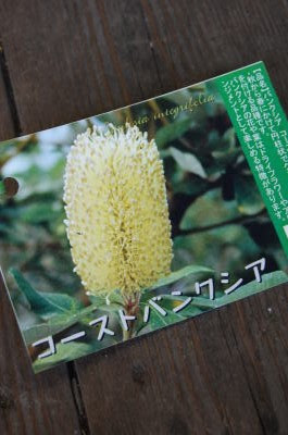 Lovrikのひとりごと ローブリーク