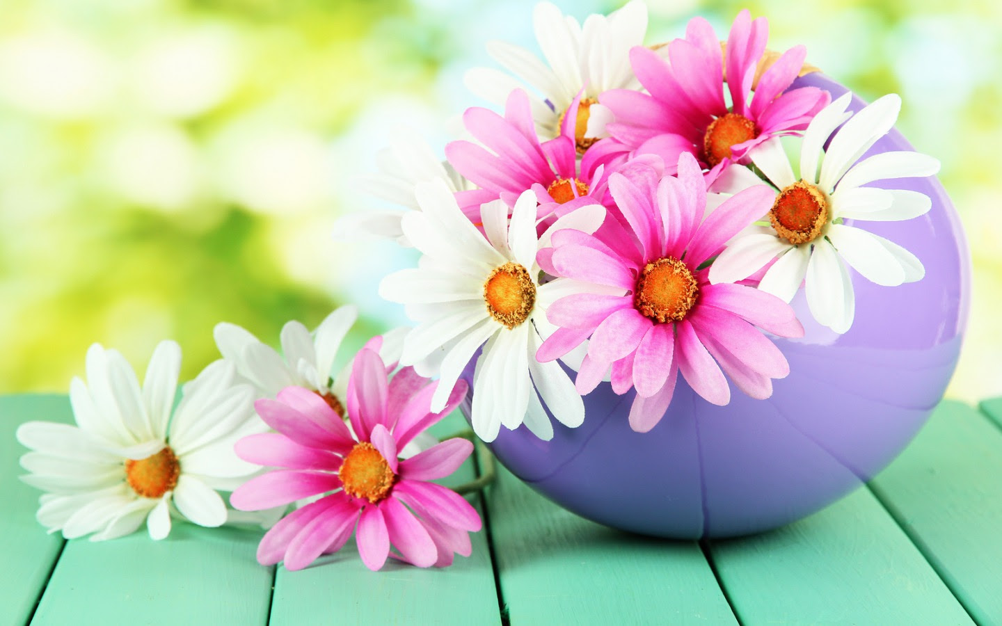 お花 お花 壁紙 ファンポップ