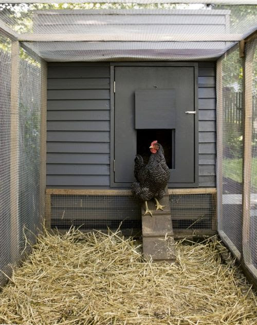 Chicken coup for chooks | Chickens!!!! | Pinterest