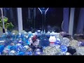 [最も人気のある！] 金魚水槽 ビー玉 305537