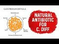 Is Peanut Butter Good For C Diff