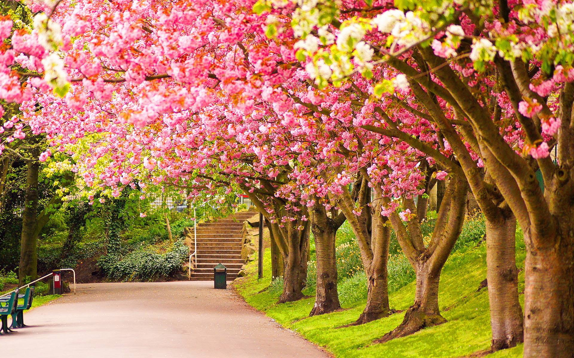Spring Nature Wallpapers - Wallpaper Cave