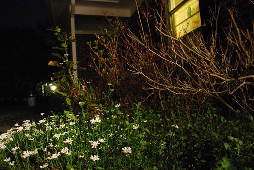 March 18, 2011 by bbryan