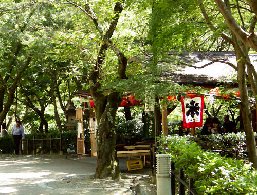 人混みは避けて通れないけど 清水寺はやっぱりいい けっこう真面目に京都散歩