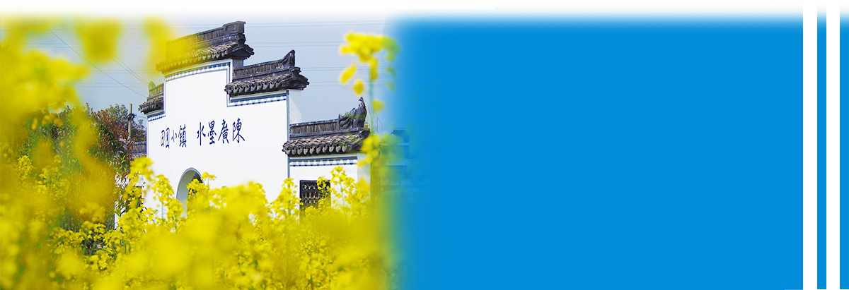 水墨广陈 全国网络媒体平湖广陈采风丨浙江在线 地方中心出品